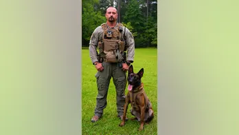 Hero South Carolina police K-9 dies saving human teammates in shootout with fugitive suspect, authorities say