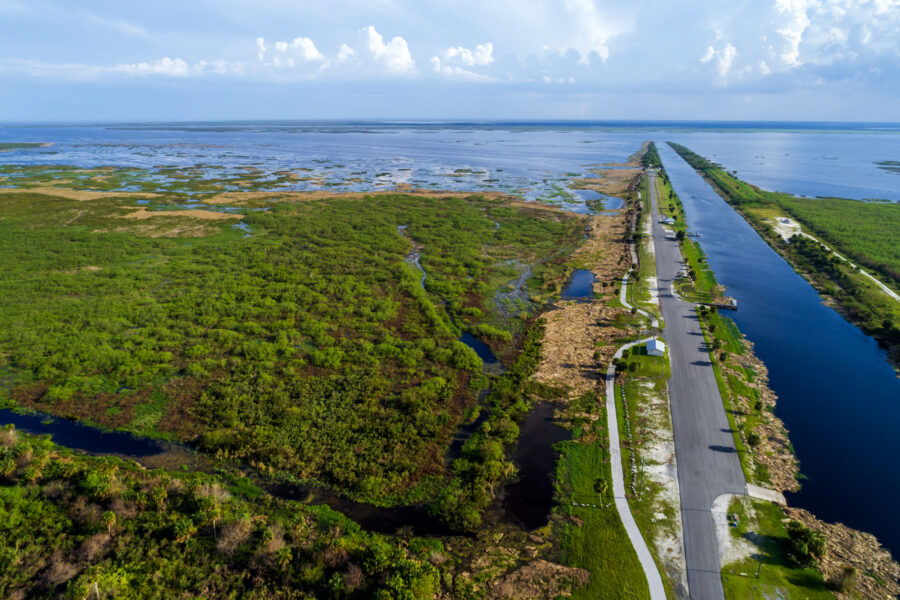 Billions of Gallons of Freshwater Are Dumped at Florida’s Coasts. Environmentalists Want That Water in the Everglades