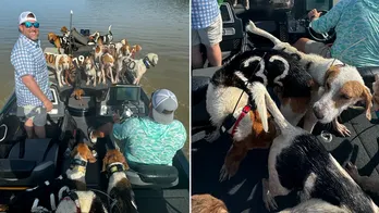 Fishermen in Mississippi pull off dramatic rescue of 38 dogs treading water