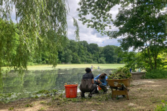 New York’s Chronically Underfunded Parks Department Is Losing the Fight Against Invasive Species, Disrepair and Climate Change