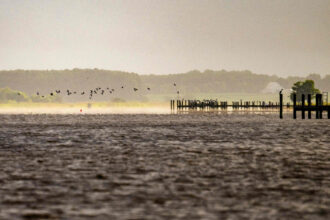 The Chesapeake Bay Program Flunked Its 2025 Cleanup Goals. What Happens Next?