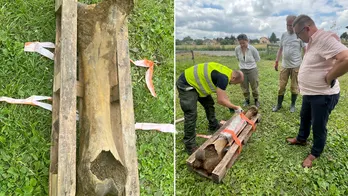 Fisherman discovers mammoth bone, 'thick as a human leg,' dating back to the Ice Age