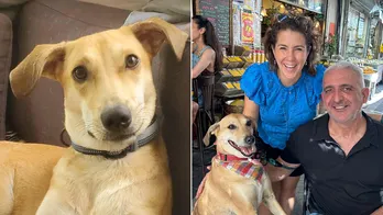 Dog lost for 40 days after terror attack on Israel now comforts hostage family members