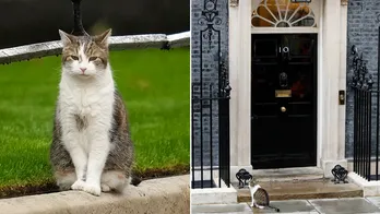 Larry the Cat, the United Kingdom's 'chief mouser,' outlasts five prime ministers