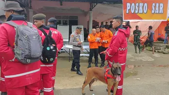 Landslide at illegal gold mine in Indonesia leaves 11 dead, dozens missing