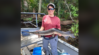 Biologists surprised by 'interesting' crooked fish caught in Florida waters