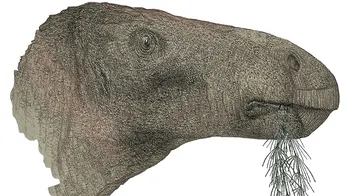 New species of dinosaur that lived 125 million years ago identified in England