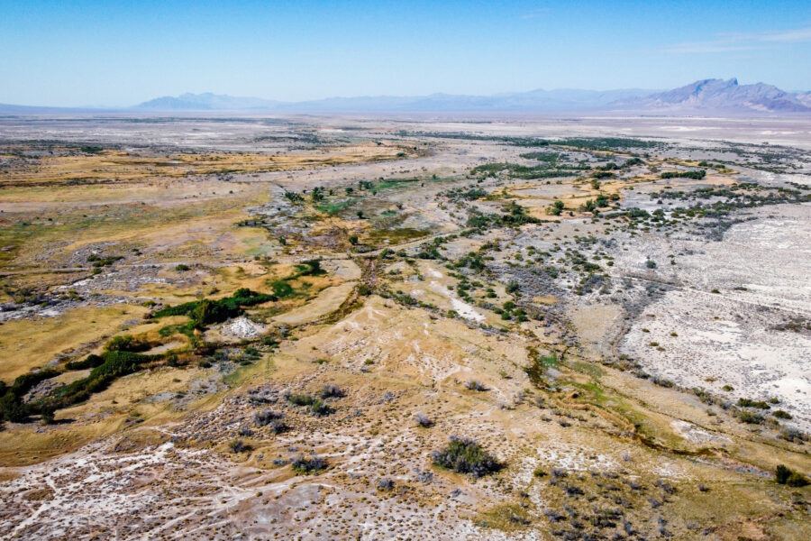 As a Nevada Community Fights a Lithium Mine, a Rare Fish and Its Haven Could Be an Ace in the Hole