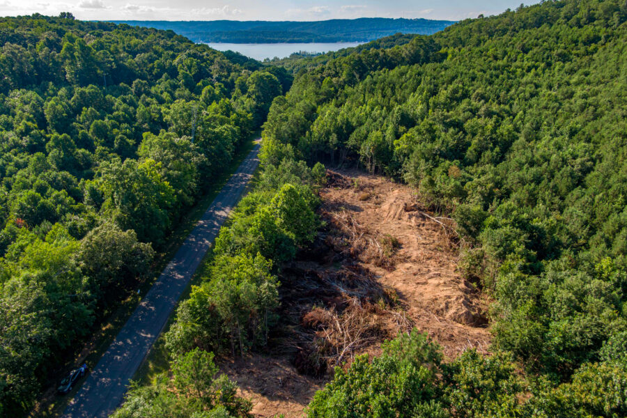 In Alabama’s Bald Eagle Territory, Residents Say an Unexpected Mining Operation Emerged as Independence Day Unfolded