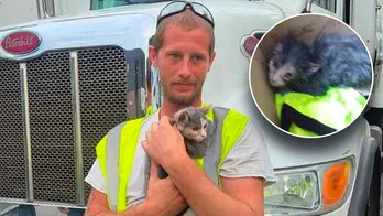 New Jersey kitten is rescued from waste compactor just in the nick of time