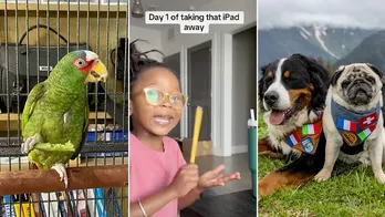 Viral headlines: Trending family stories, pet tales, food finds and more you won't want to miss