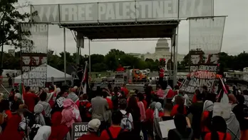 Anti-Israel agitators descend on DC ahead of Israeli PM Netanyahu's address to Congress