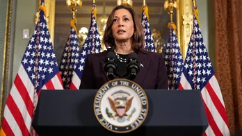 Kamala Harris' foreign policy chops questioned: What has she done, where has she been?