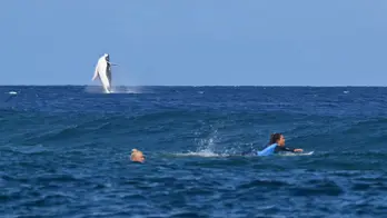 Whale Upstages Athletes During Olympic Surfing Competition