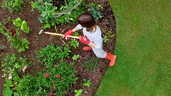 Make garden upkeep easier with these 7 garden accessories