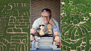 Farmers carve ‘Peanuts’ comic characters in corn mazes nationwide to celebrate 75-year anniversary