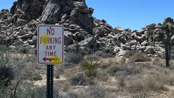 German tourists deface Joshua Tree National Park in paintball and slingshot shooting rampage