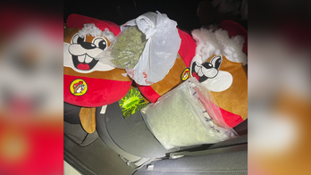 Hard drugs found inside Buc-ee's plushies during traffic stop in Texas