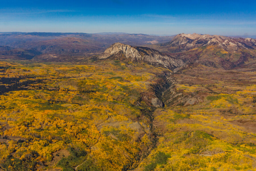 What Conservation Coalitions Have Learned from an Aspen Tree