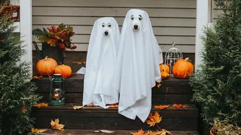 Decorating for Halloween early? These 4 stores already have Halloween decorations out