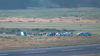 Climate activists break into German airport sites, bringing air traffic to halt