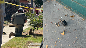 California gardener finds 4 Russian-style grenades in bushes near Los Angeles