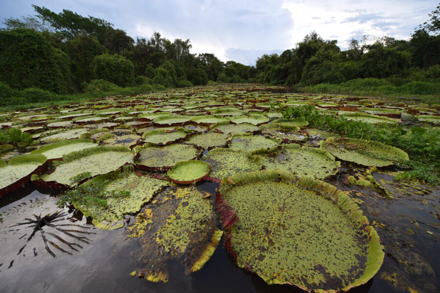 Surging Methane Emissions Could Be a Sign of a Major Climate Shift