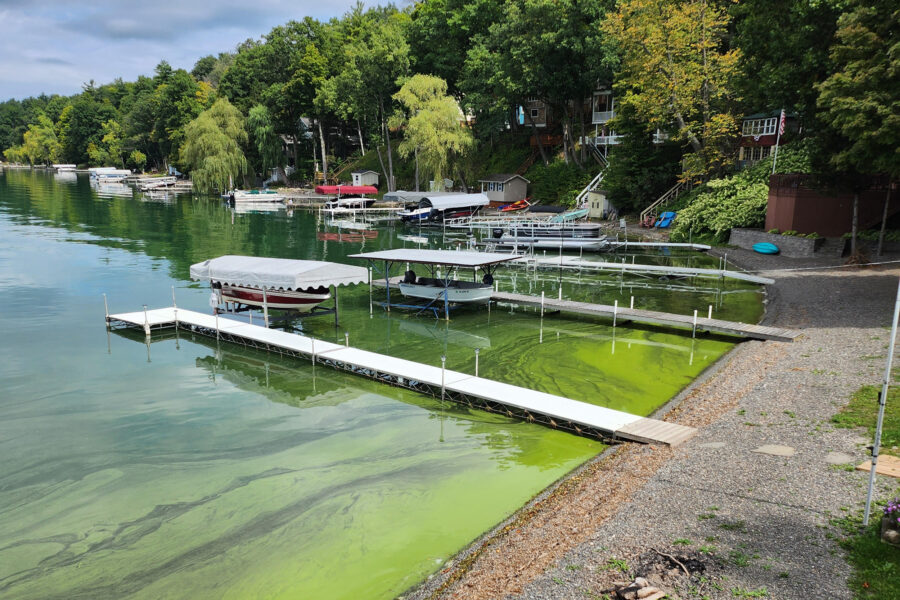 Algal Blooms Ravaged New York’s Finger Lakes During Final Week of August