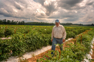 As Climate Threats to Agriculture Mount, Could the Mississippi River Delta Be the Next California?