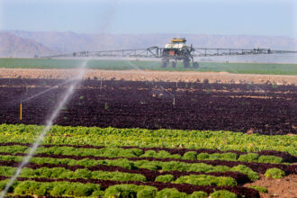 The Key to Fix California’s Inadequate Water Storage? Put Water Underground, Scientists Say