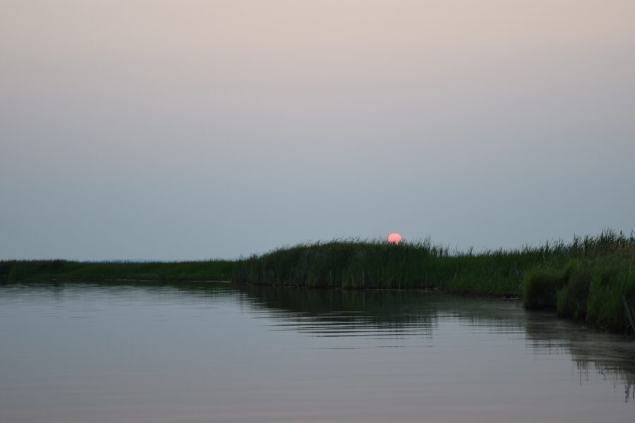 Q&amp;A: Near Lake Superior, a Tribe Fights to Remove a Pipeline From the Wetlands It Depends On