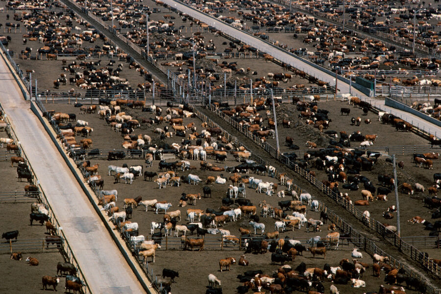 Tyson Foods Sued Over Emissions Reduction Promises