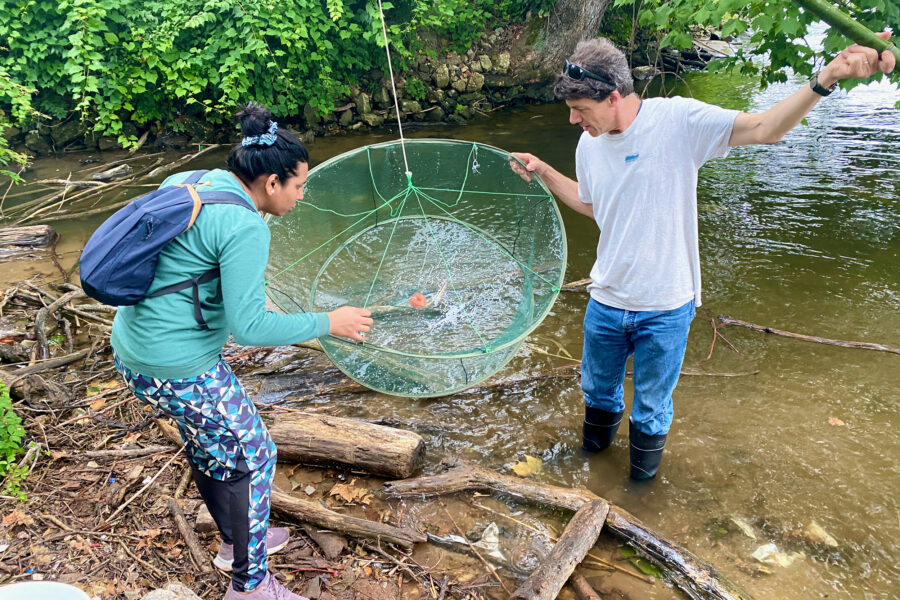 Baltimore City Is Investing in Wetlands Restoration For Climate Resiliency and Adaptation. Scientists Warn About Unintended Consequences