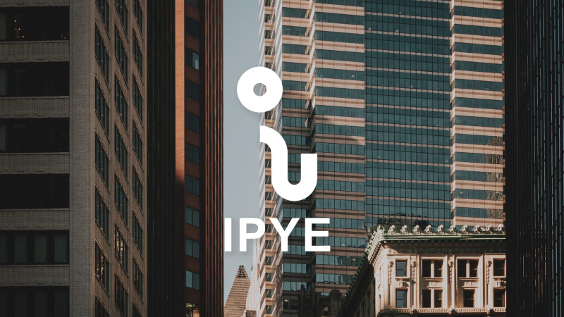 IPYE: Balancing Risks and Returns in Cryptocurrency Investment