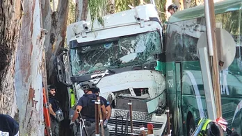 Truck ramming attack near Israeli army base injures dozens; suspect killed