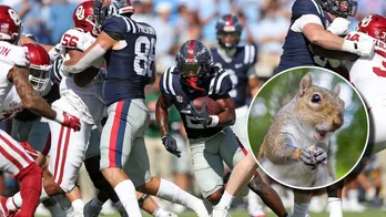 Ole Miss Crowd Goes Nuts For Squirrel That Ran Onto The Field